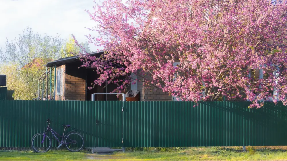 Colorbond Fencing Cost Per Meter