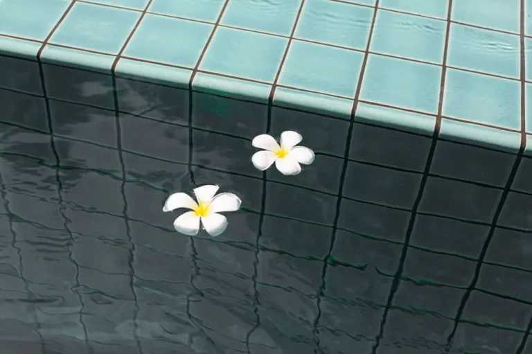 Pool Coping and Waterline Tile