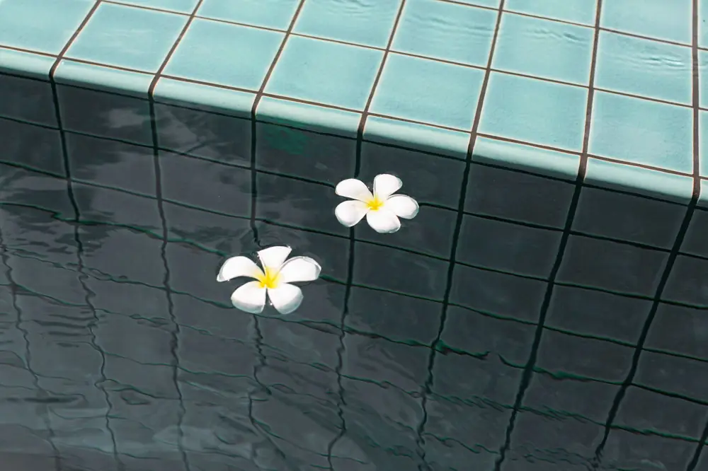 Pool Coping and Waterline Tile