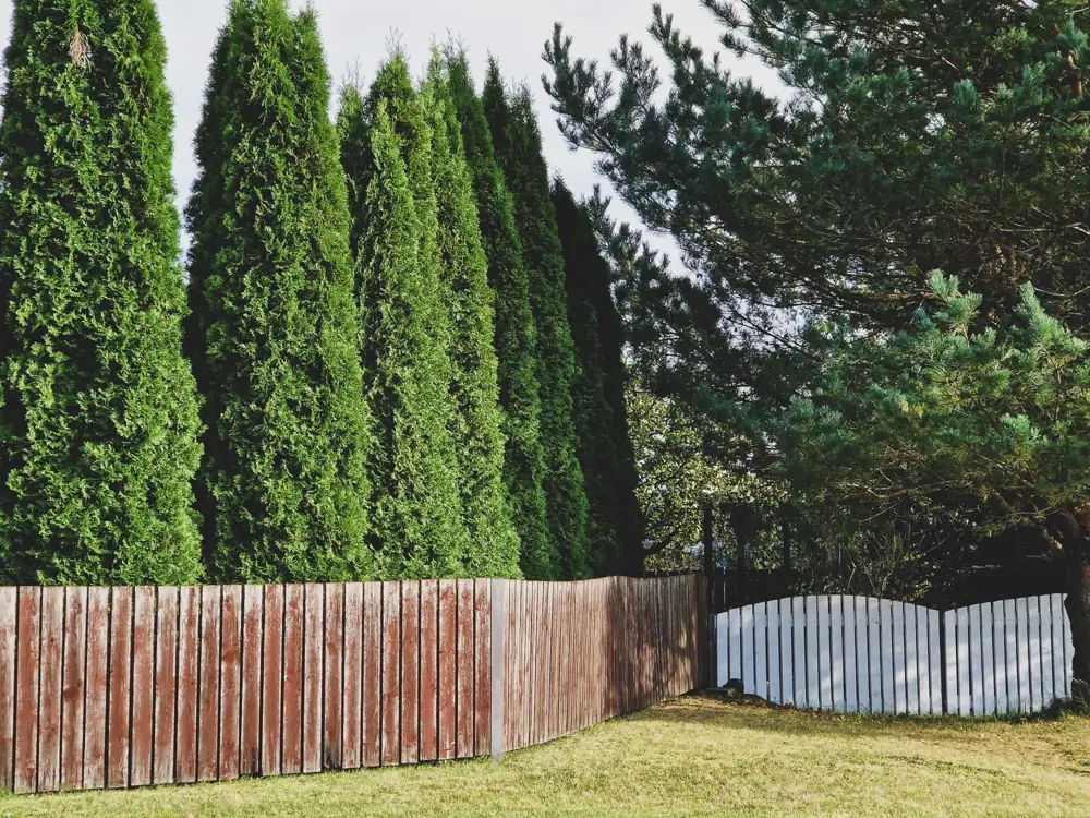 Pool Fence Rental vs Purchase