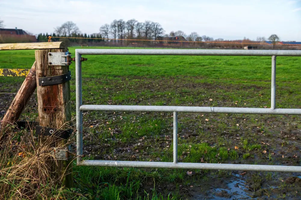 Post and Rail Fence Per Acre