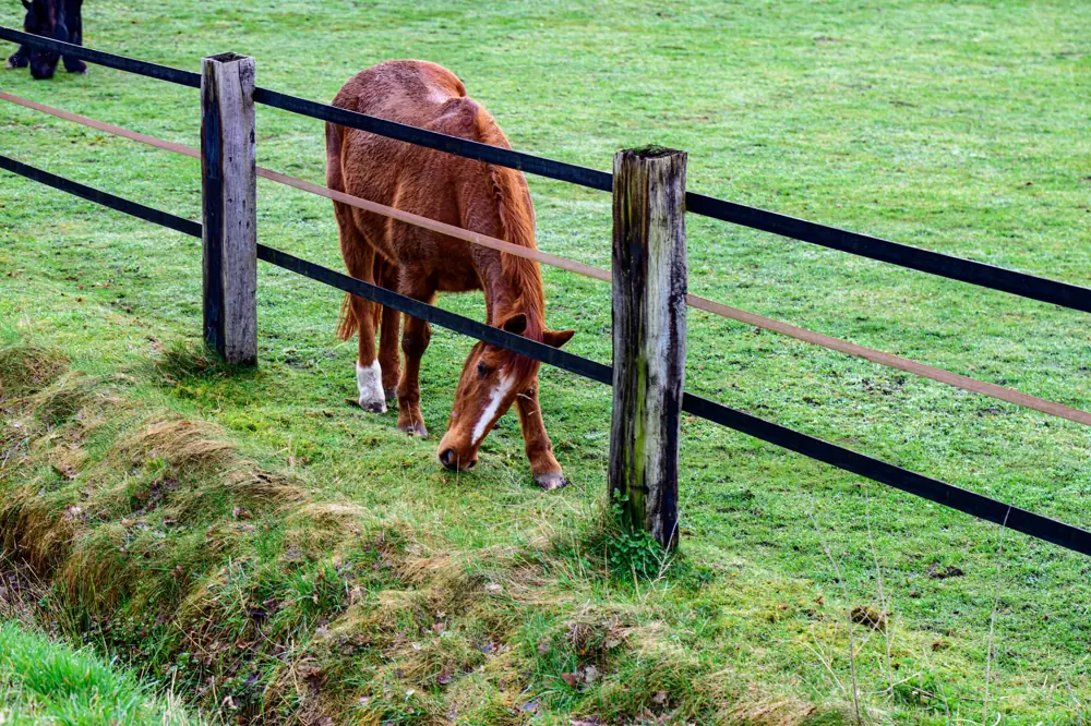 Post and Rail Fence Per Acre