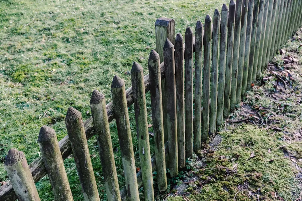 Timber Paling Fence Replacement